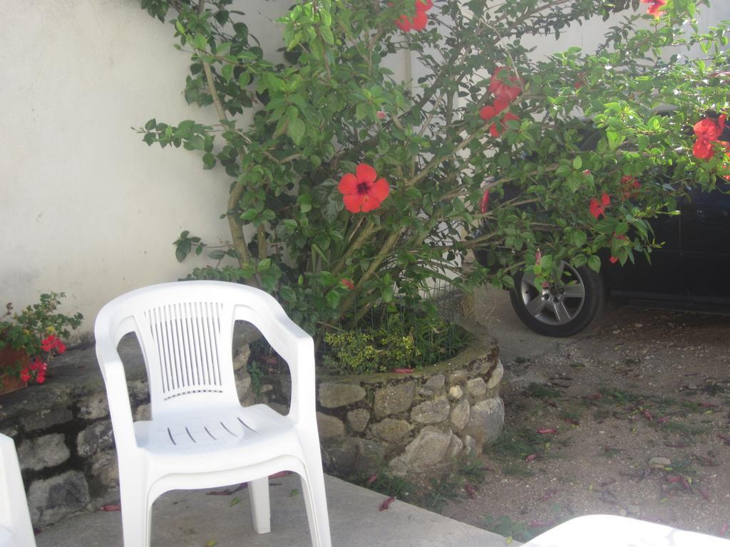 B&B Vaiana Maida Zewnętrze zdjęcie