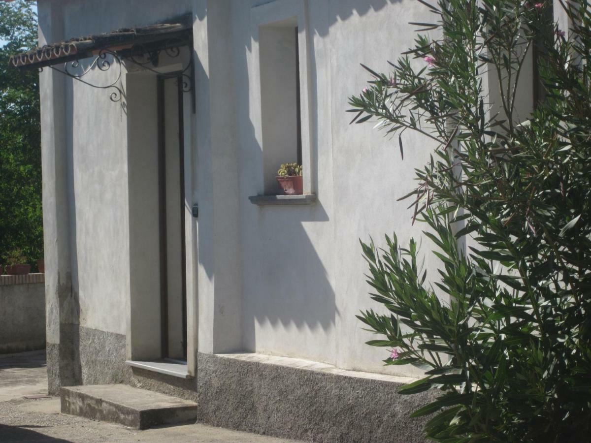 B&B Vaiana Maida Pokój zdjęcie